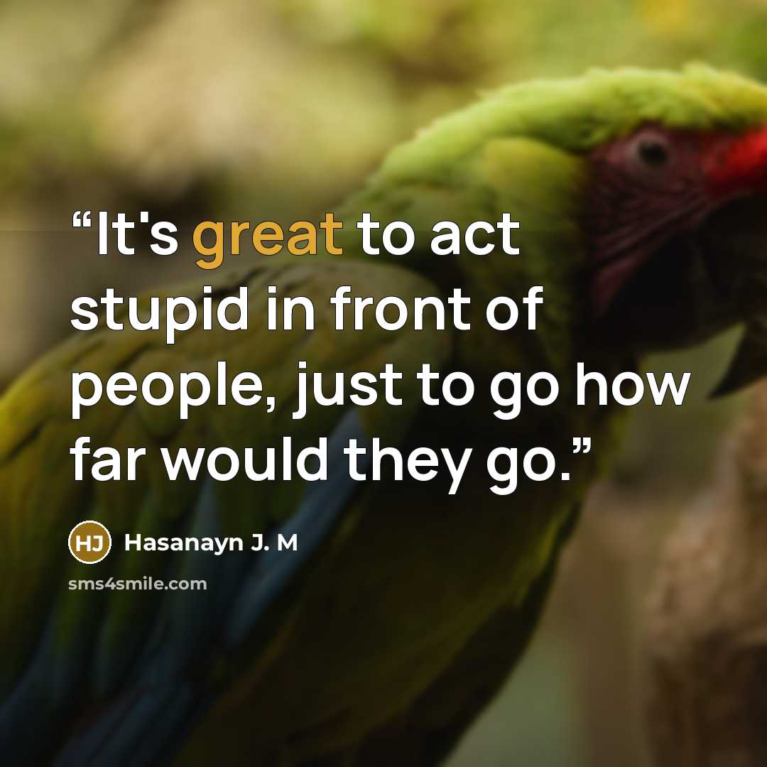“It's great to act stupid in front of people, just to go how far would they go.” quote by Hasanayn J. M