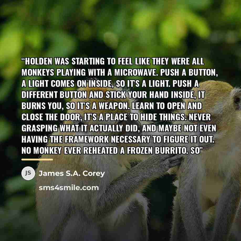 “Holden was starting to feel like they were all monkeys playing with a microwave. Push a button, a light comes on inside, so it’s a light. Push a different button and stick your hand inside, it burns you, so it’s a weapon. Learn to open and close the door, it’s a place to hide things. Never…” quote by James S.A. Corey