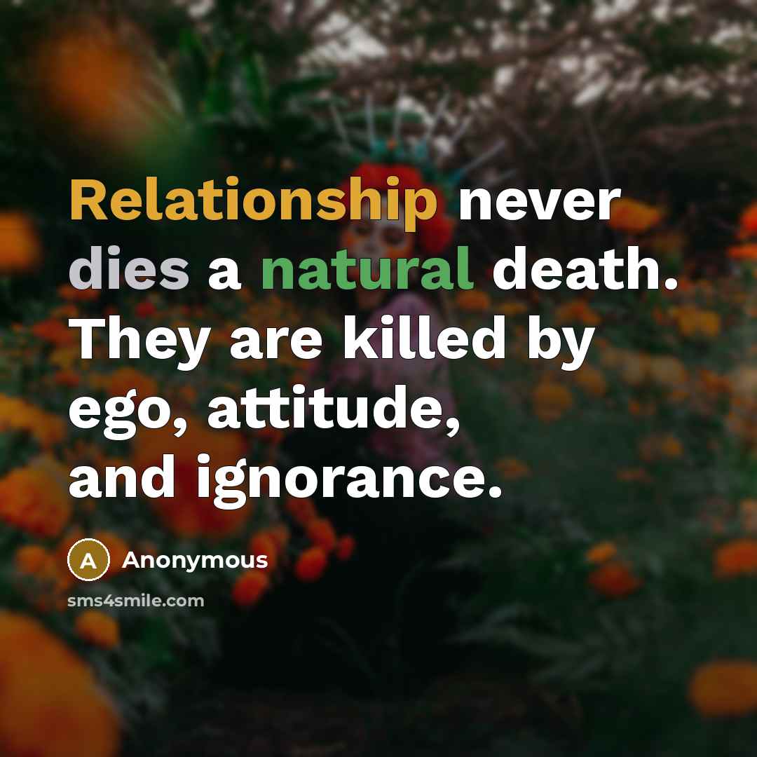 “Relationship never dies a natural death. They are killed by ego, attitude, and ignorance.” quote by Anonymous