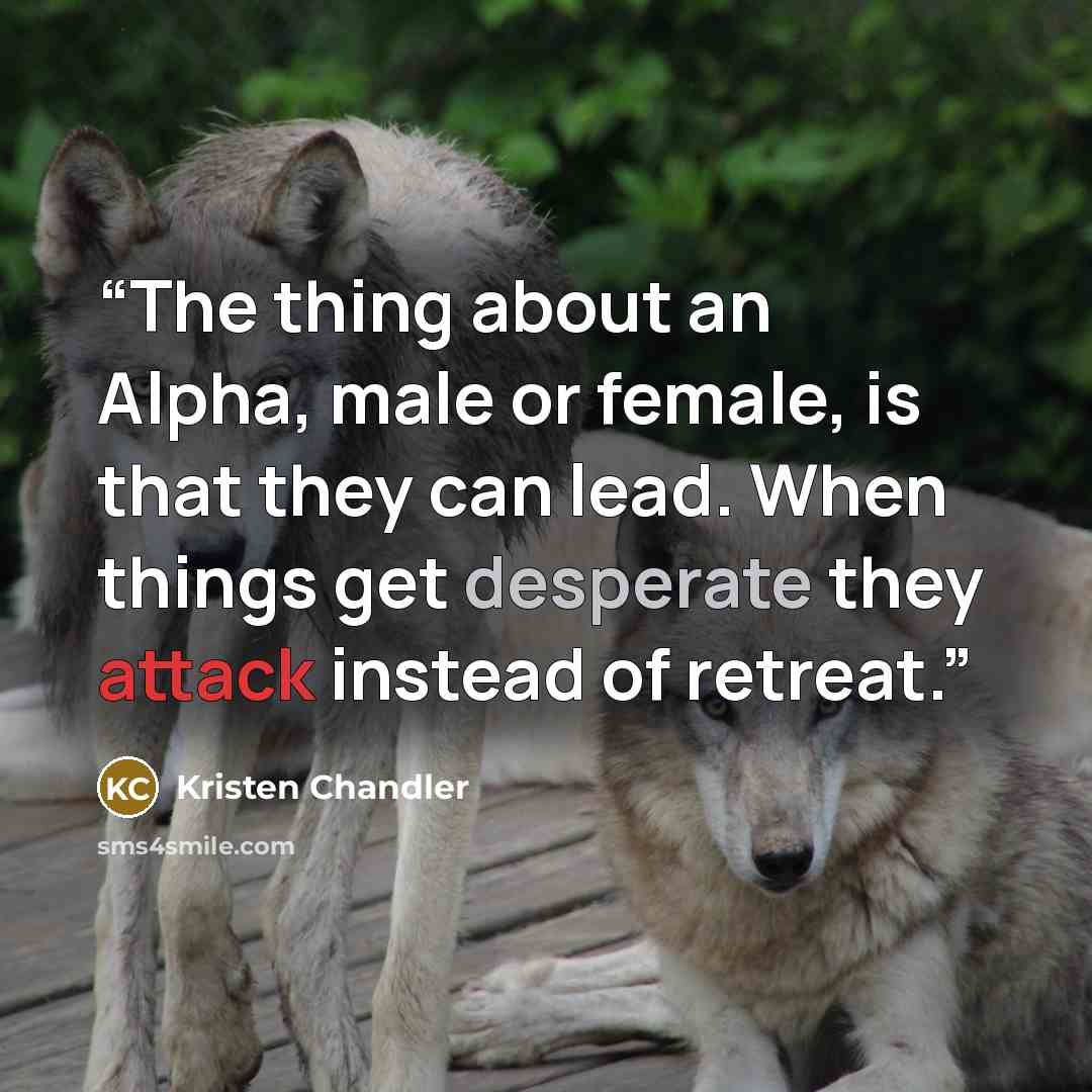 “The thing about an Alpha, male or female, is that they can lead. When things get desperate they attack instead of retreat.” quote by Kristen Chandler