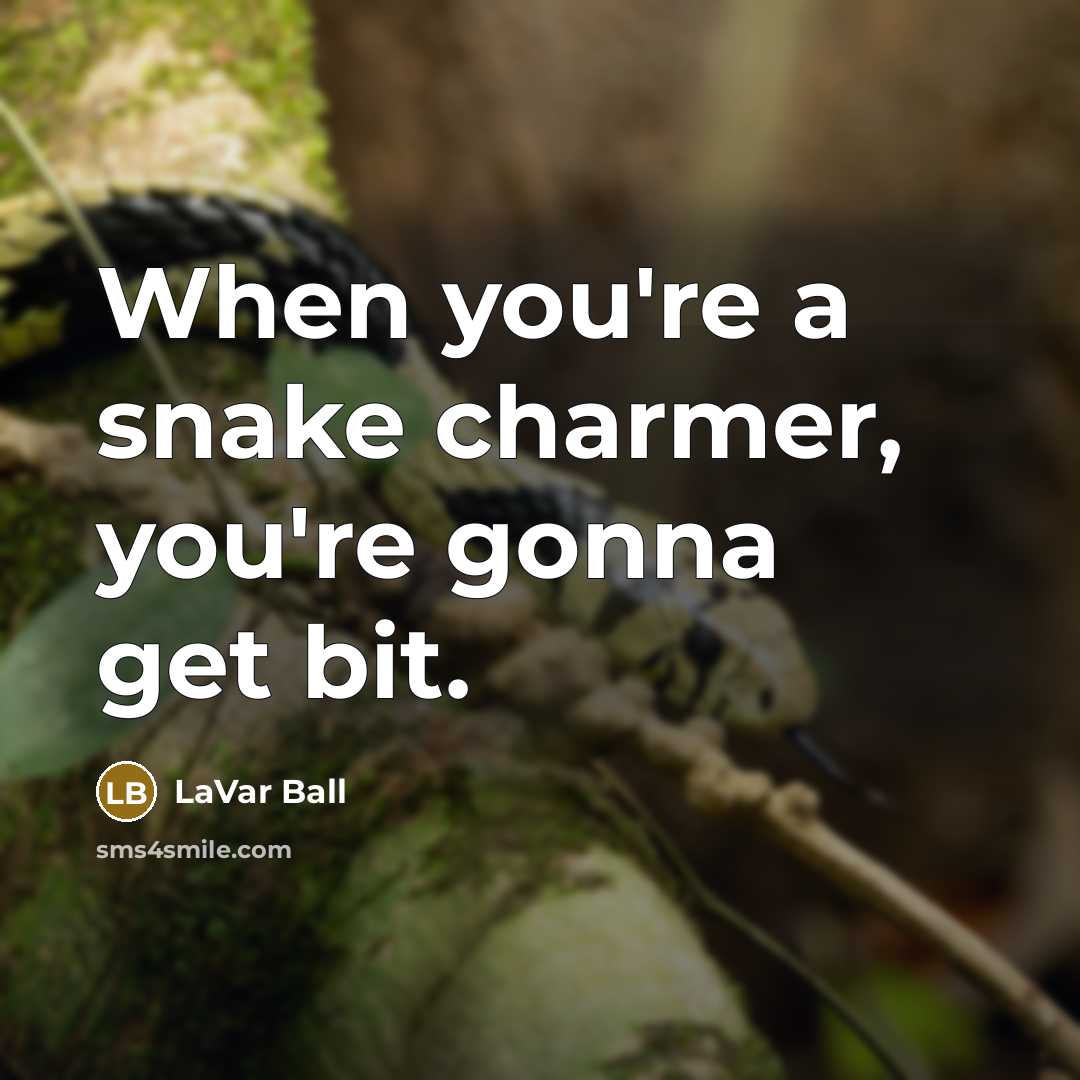 “When you're a snake charmer, you're gonna get bit.” quote by LaVar Ball