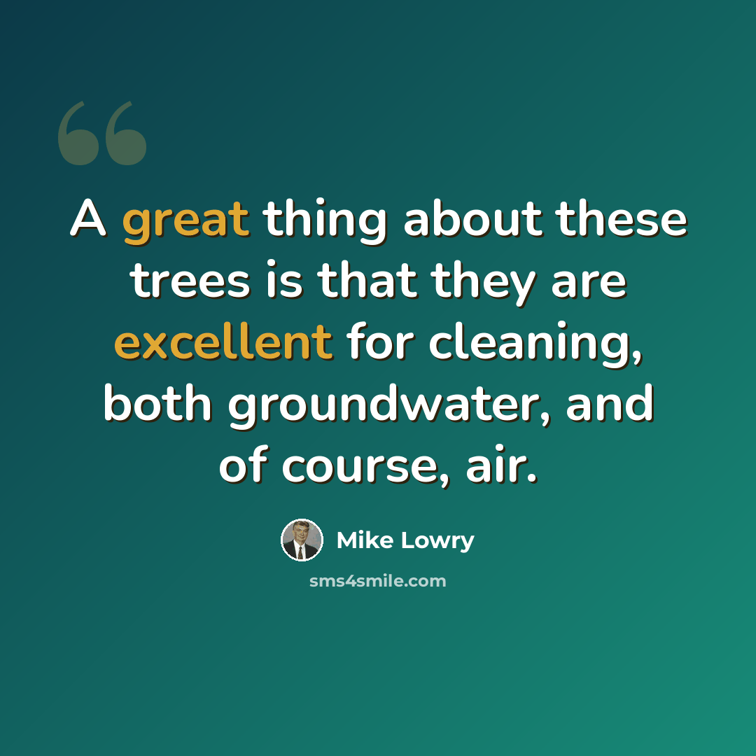 “A great thing about these trees is that they are excellent for cleaning, both groundwater, and of course, air.” quote by Mike Lowry