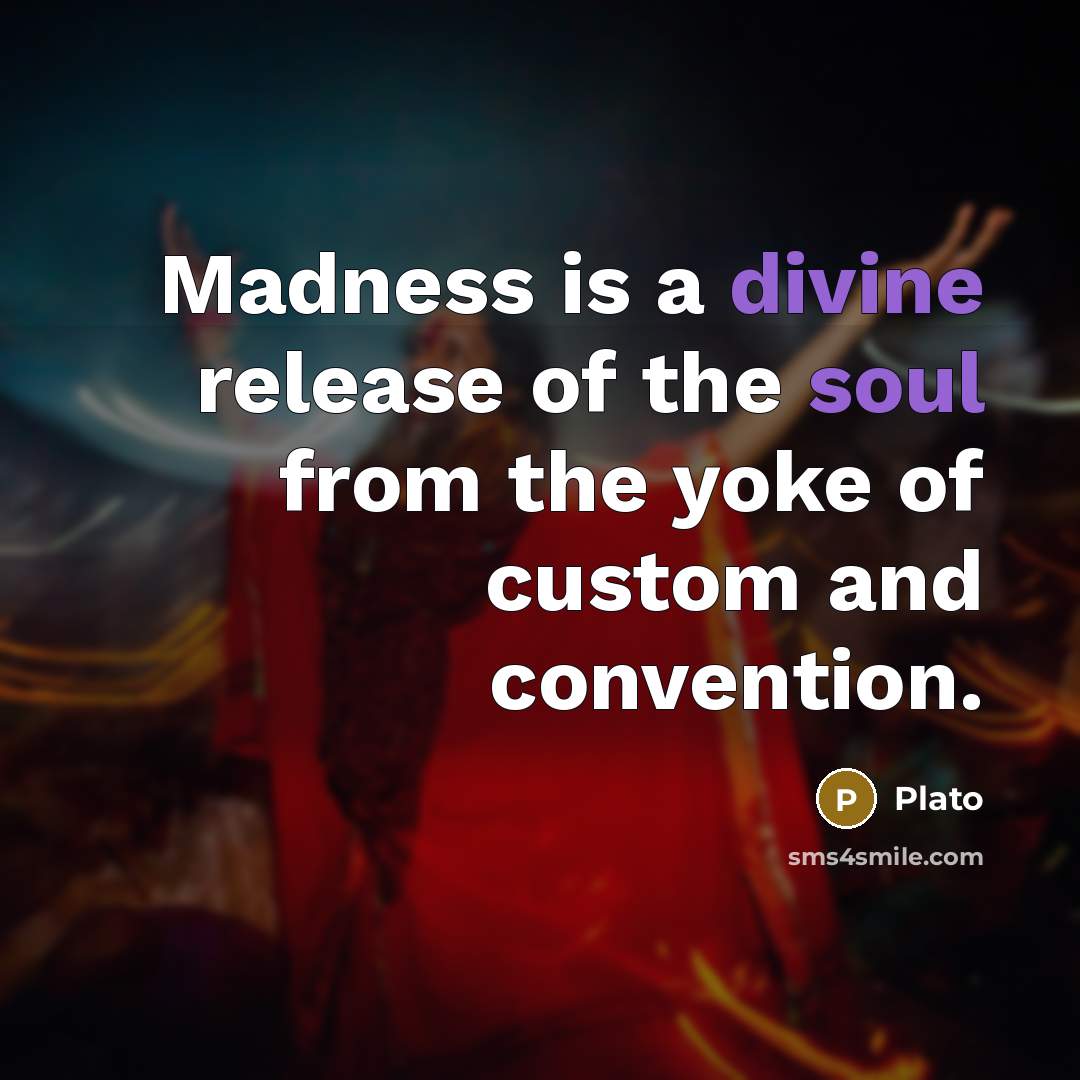 “Madness is a divine release of the soul from the yoke of custom and convention.” quote by Plato