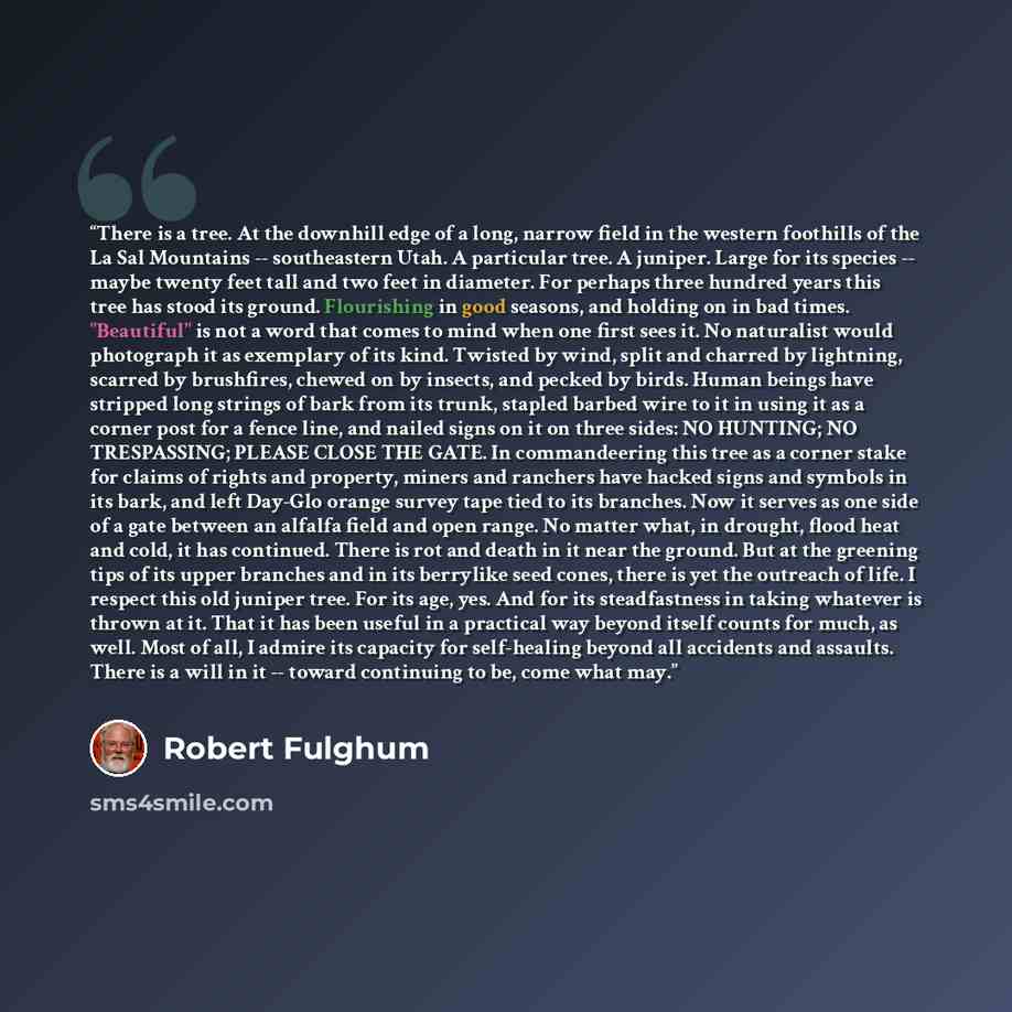 “There is a tree. At the downhill edge of a long, narrow field in the western foothills of the La Sal Mountains -- southeastern Utah. A particular tree. A juniper. Large for its species -- maybe twenty feet tall and two feet in diameter. For perhaps three hundred years this tree has stood its…” quote by Robert Fulghum