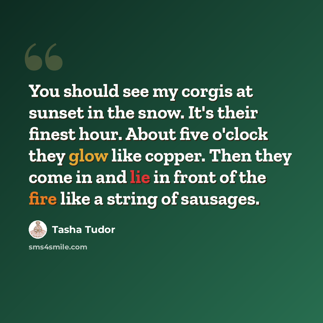 “You should see my corgis at sunset in the snow. It's their finest hour. About five o'clock they glow like copper. Then they come in and lie in front of the fire like a string of sausages.” quote by Tasha Tudor