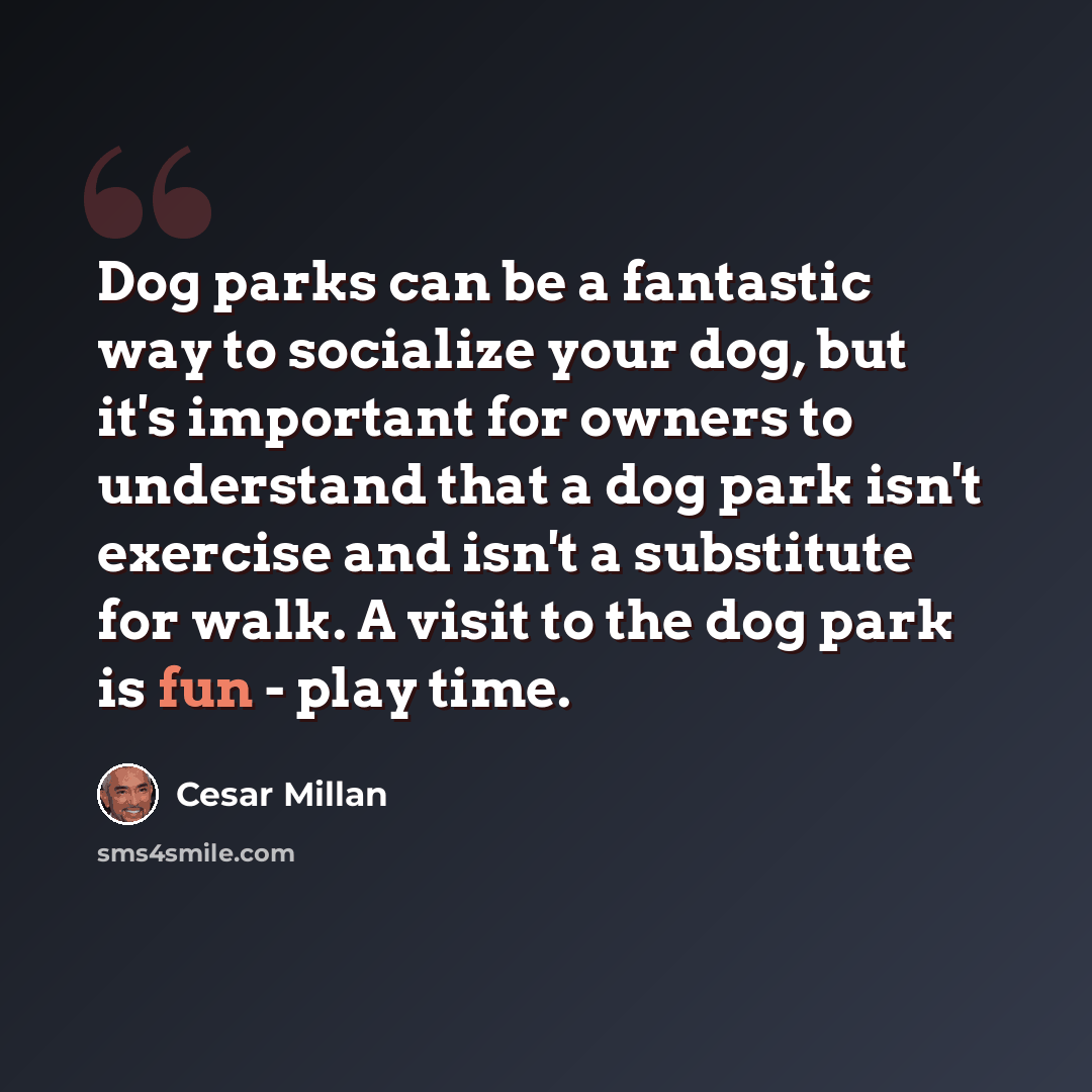 “Dog parks can be a fantastic way to socialize your dog, but it's important for owners to understand that a dog park isn't exercise and isn't a substitute for walk. A visit to the dog park is fun - play time.” quote by Cesar Millan