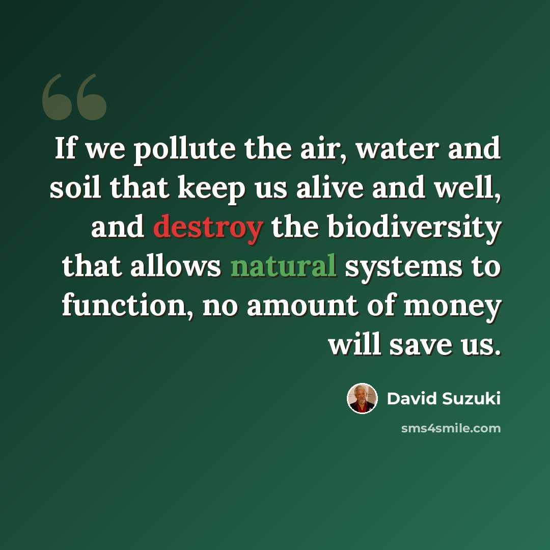 “If we pollute the air, water and soil that keep us alive and well, and destroy the biodiversity that allows natural systems to function, no amount of money will save us.” quote by David Suzuki