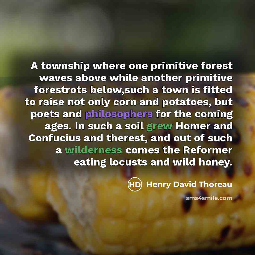 “A township where one primitive forest waves above while another primitive forestrots below,such a town is fitted to raise not only corn and potatoes, but poets and philosophers for the coming ages. In such a soil grew Homer and Confucius and therest, and out of such a wilderness comes the Reformer…” quote by Henry David Thoreau