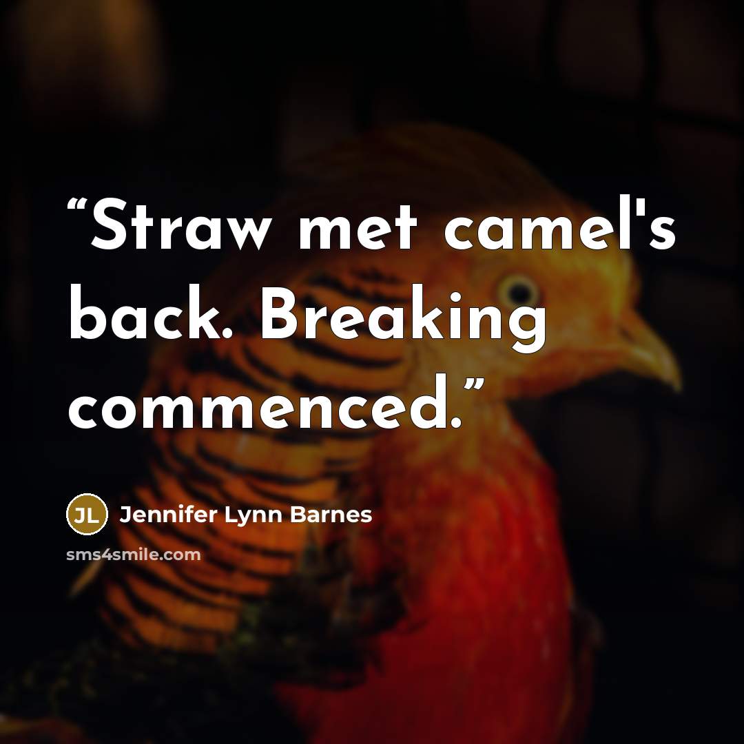 “Straw met camel's back. Breaking commenced.” quote by Jennifer Lynn Barnes