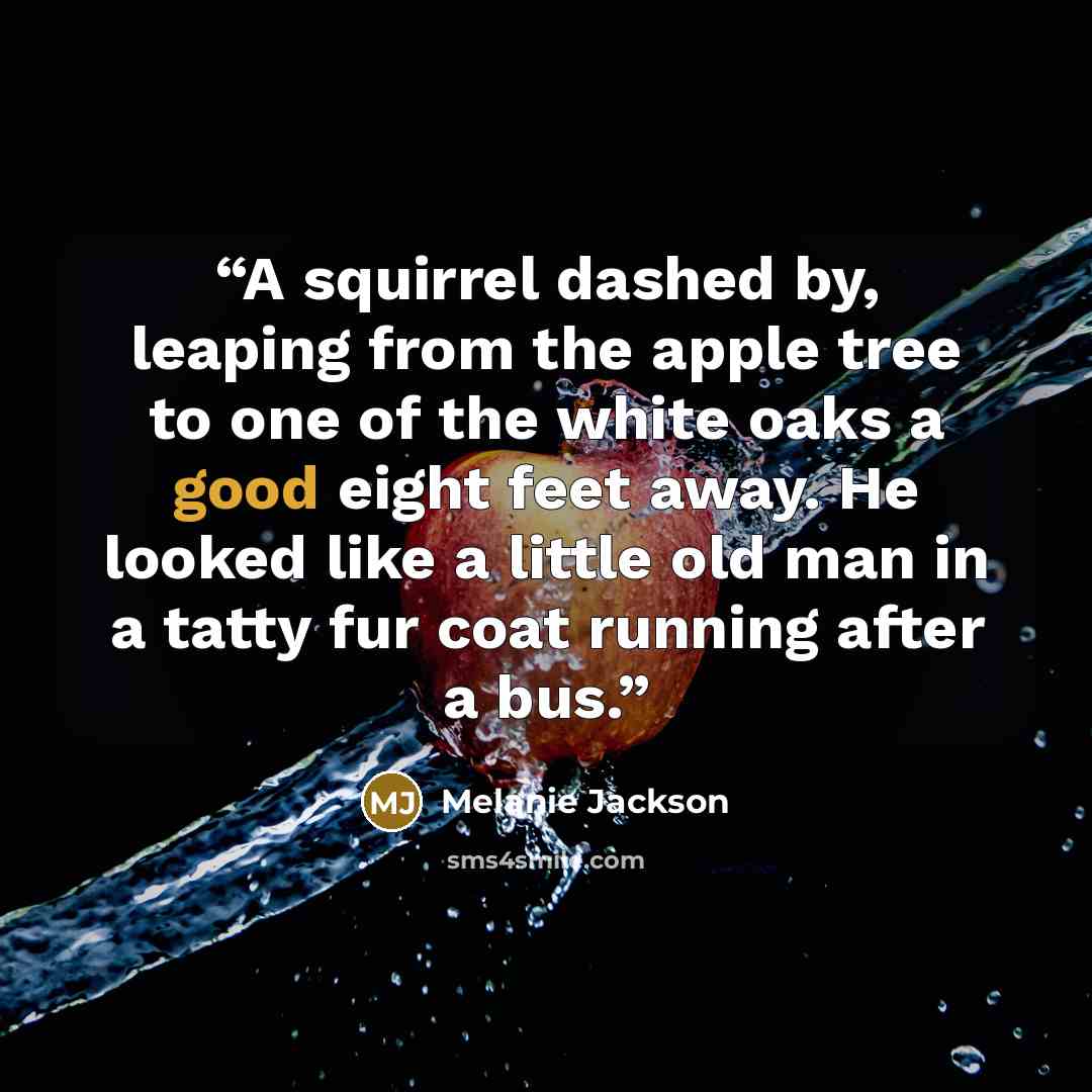 “A squirrel dashed by, leaping from the apple tree to one of the white oaks a good eight feet away. He looked like a little old man in a tatty fur coat running after a bus.” quote by Melanie Jackson