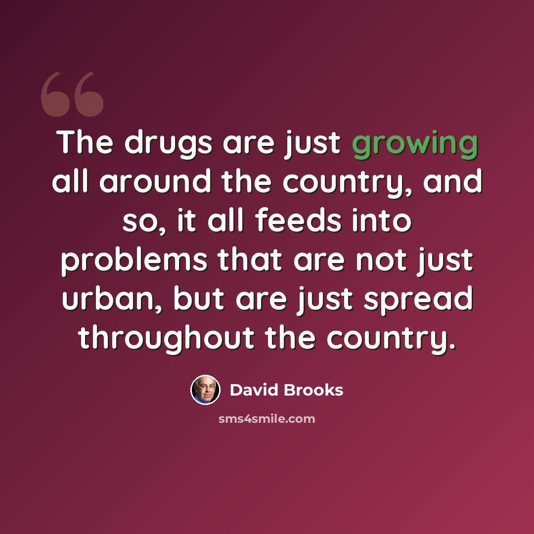 “The drugs are just growing all around the country, and so, it all feeds into problems that are not just urban, but are just spread throughout the country.” quote by David Brooks