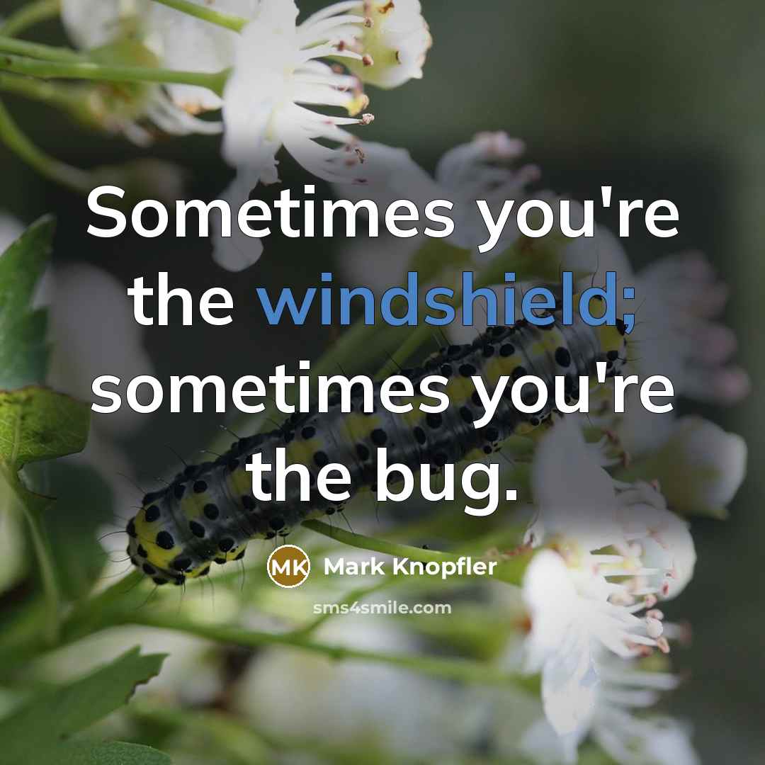“Sometimes you're the windshield; sometimes you're the bug.” quote by Mark Knopfler
