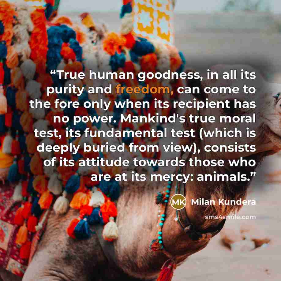 “True human goodness, in all its purity and freedom, can come to the fore only when its recipient has no power. Mankind's true moral test, its fundamental test (which is deeply buried from view), consists of its attitude towards those who are at its mercy: animals.” quote by Milan Kundera