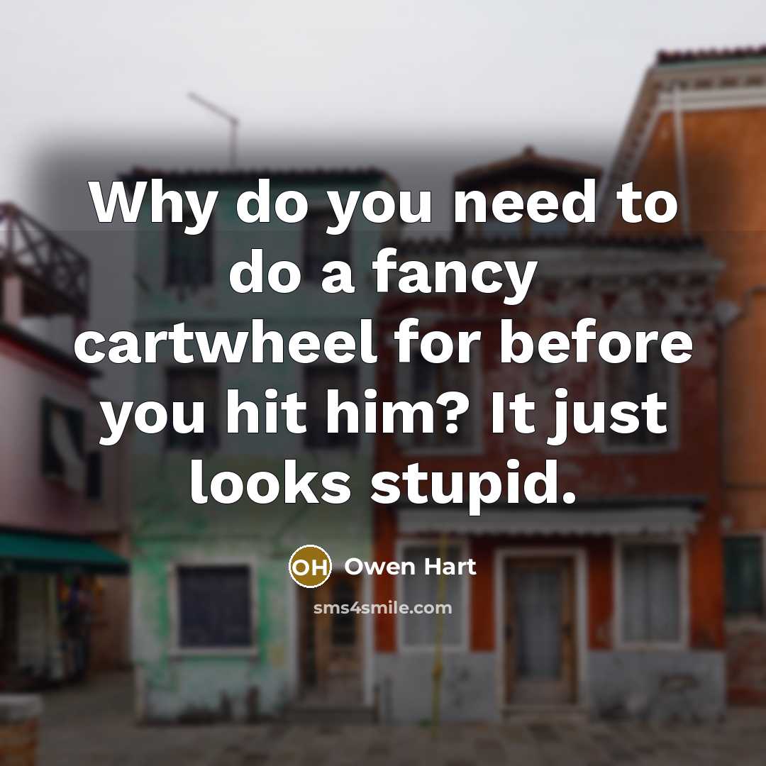 “Why do you need to do a fancy cartwheel for before you hit him? It just looks stupid.” quote by Owen Hart