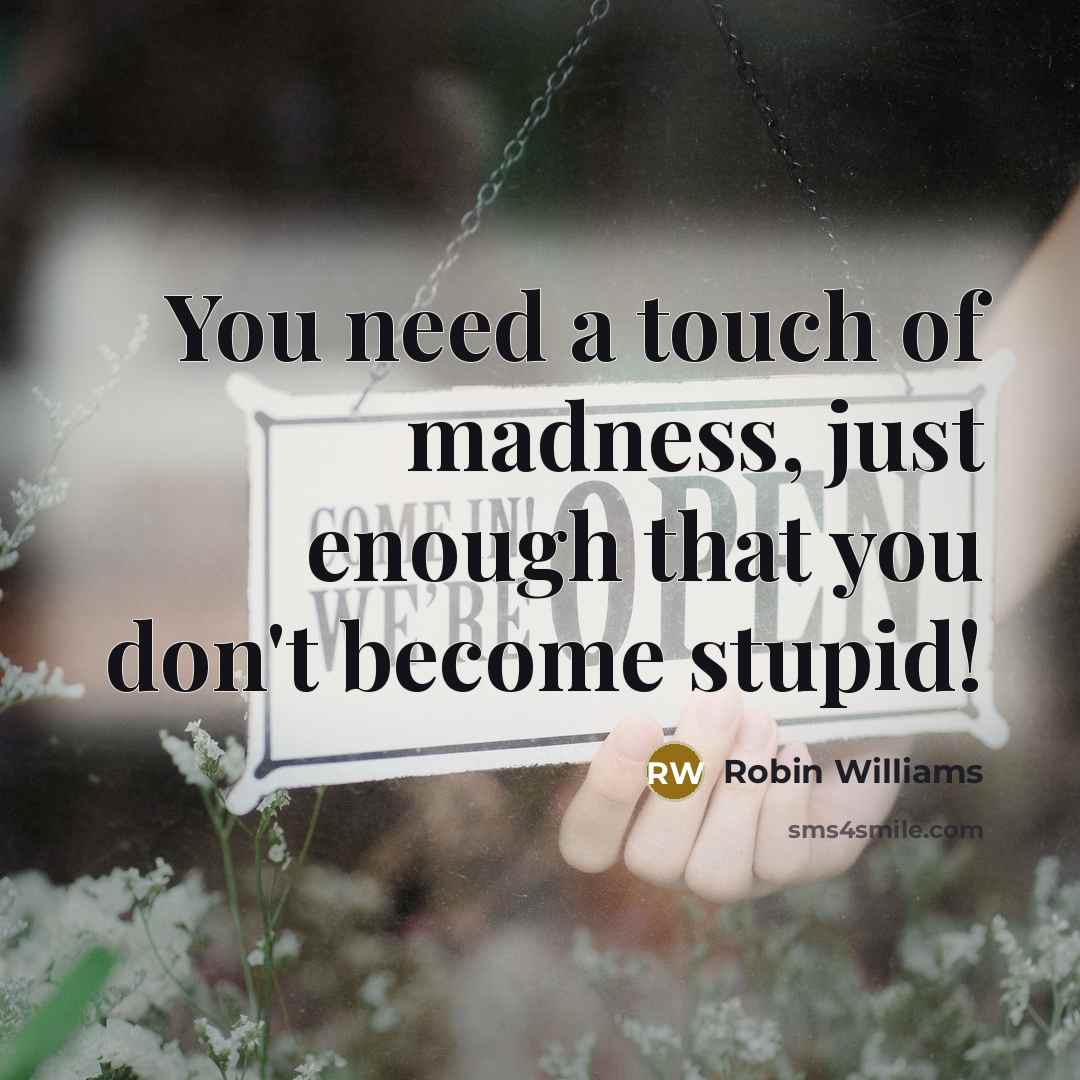 “You need a touch of madness, just enough that you don't become stupid!” quote by Robin Williams