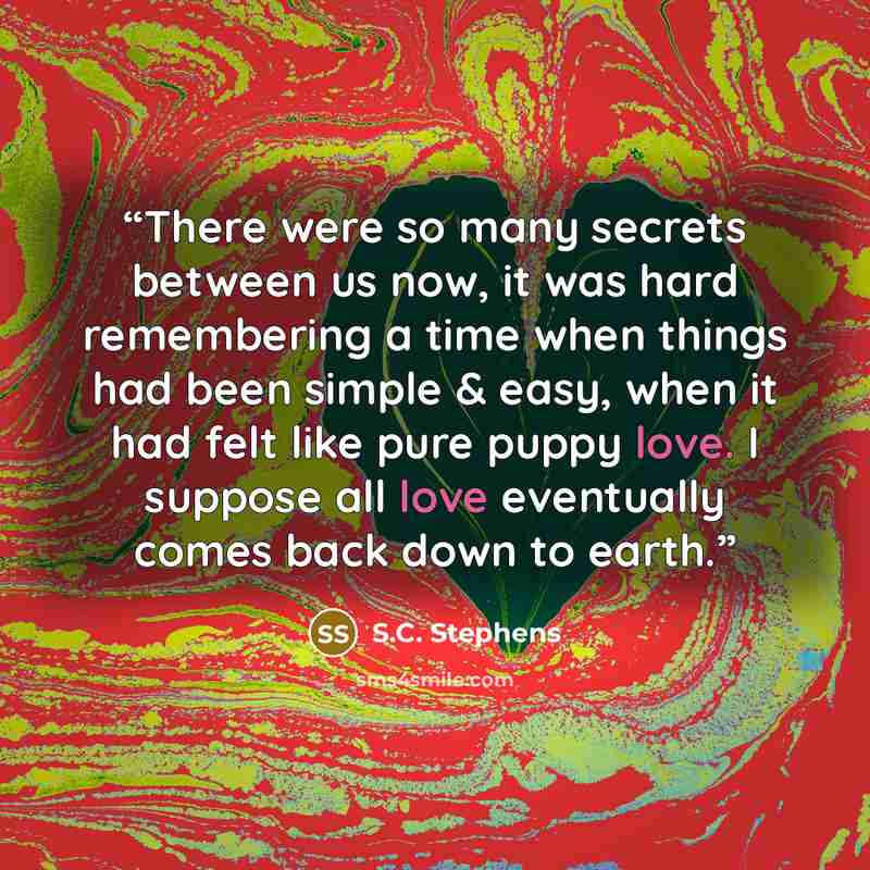 “There were so many secrets between us now, it was hard remembering a time when things had been simple & easy, when it had felt like pure puppy love. I suppose all love eventually comes back down to earth.” quote by S.C. Stephens