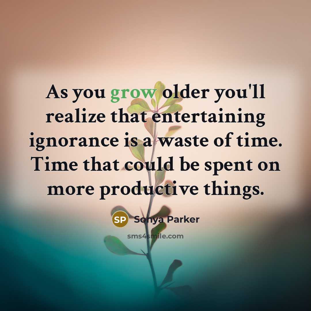 “As you grow older you'll realize that entertaining ignorance is a waste of time. Time that could be spent on more productive things.” quote by Sonya Parker