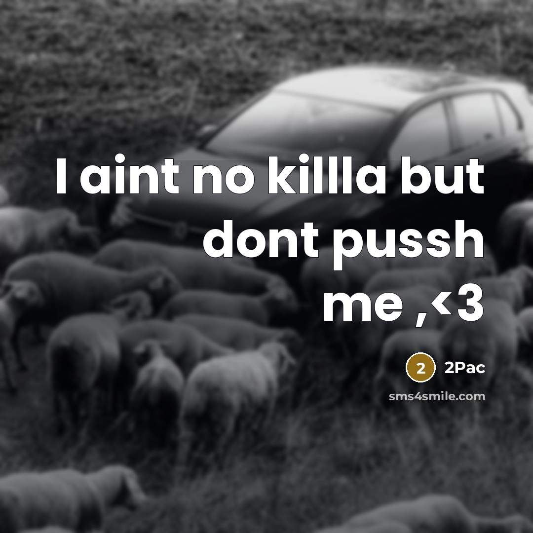 “I aint no killla but dont pussh me ,” quote by 2Pac