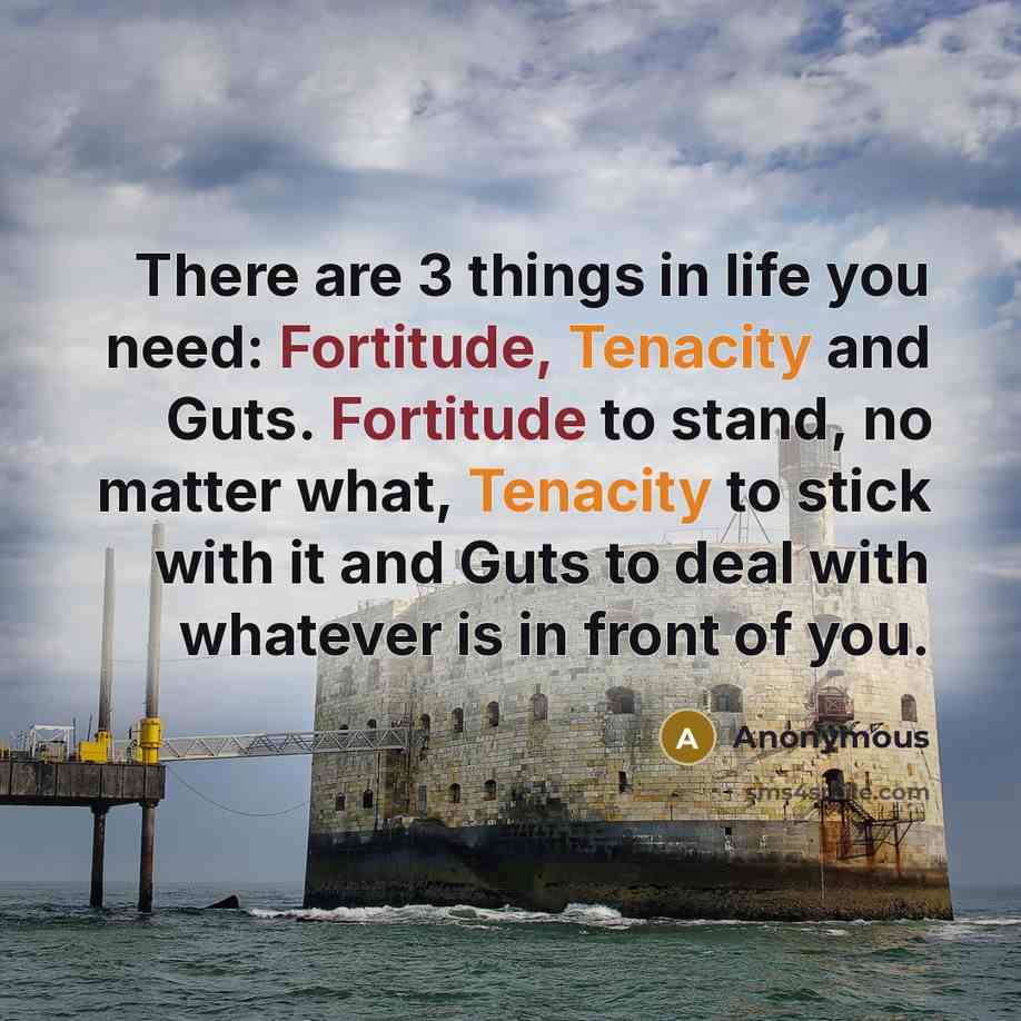 “There are 3 things in life you need: Fortitude, Tenacity and Guts. Fortitude to stand, no matter what, Tenacity to stick with it and Guts to deal with whatever is in front of you.” quote by Anonymous