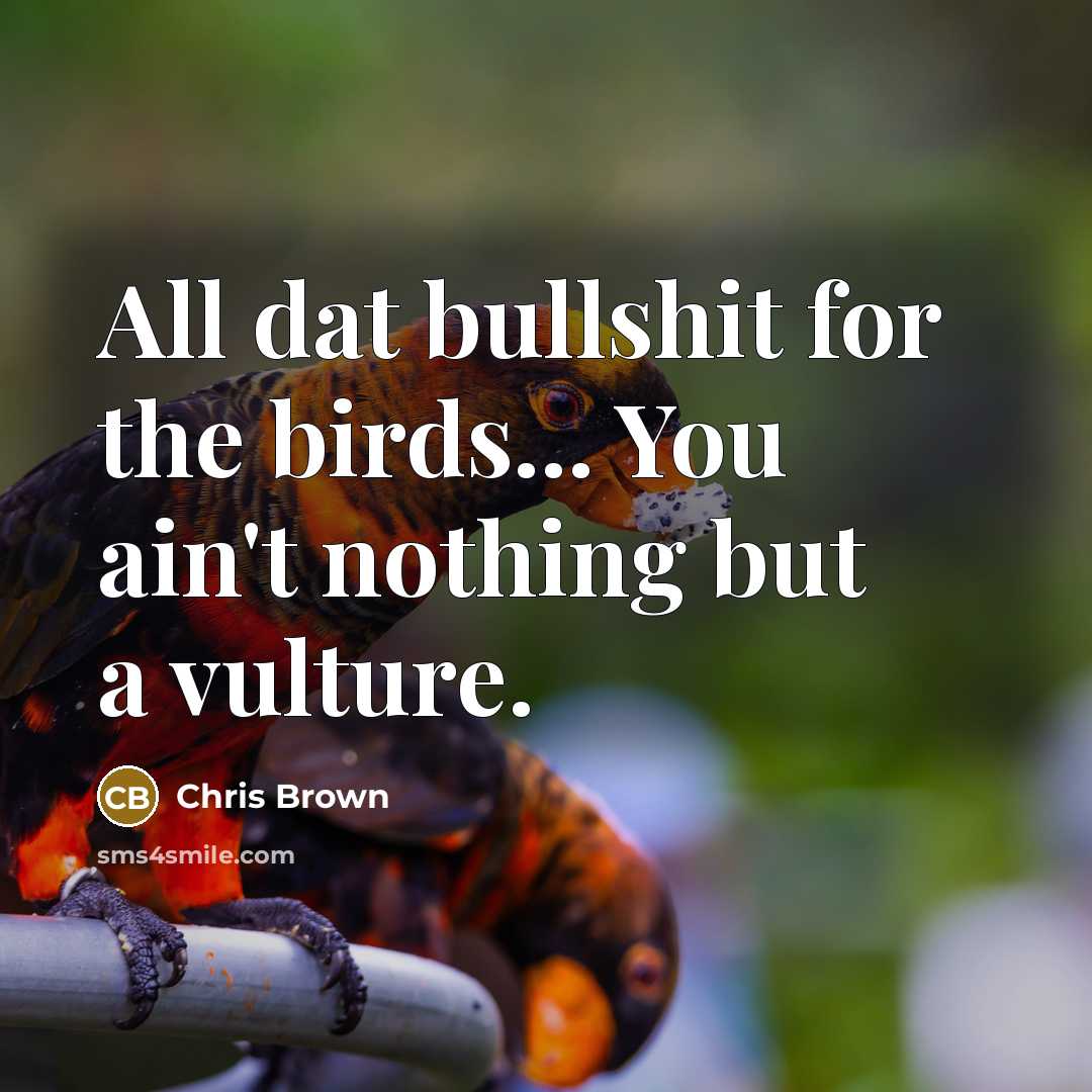 “All dat bullshit for the birds... You ain't nothing but a vulture.” quote by Chris Brown