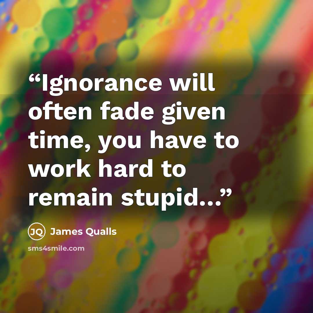 “Ignorance will often fade given time, you have to work hard to remain stupid…” quote by James Qualls