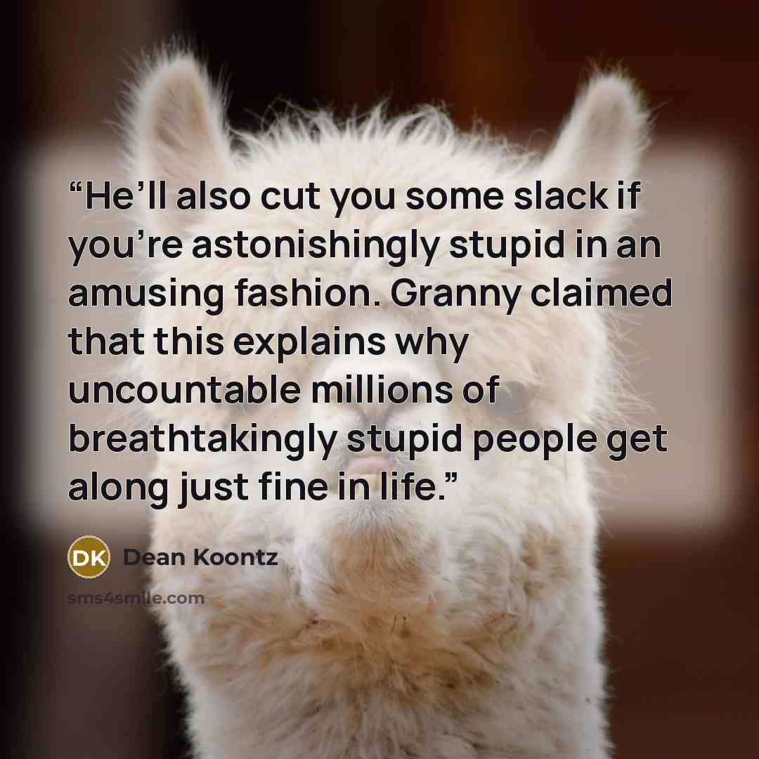 “He’ll also cut you some slack if you’re astonishingly stupid in an amusing fashion. Granny claimed that this explains why uncountable millions of breathtakingly stupid people get along just fine in life.” quote by Dean Koontz