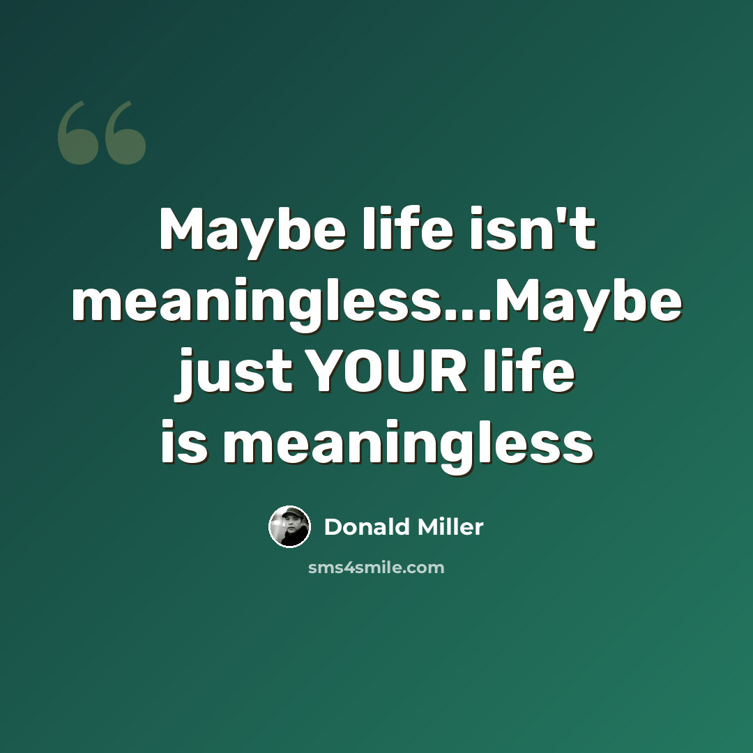“Maybe life isn't meaningless...Maybe just YOUR life is meaningless” quote by Donald Miller