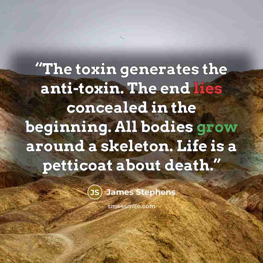 “The toxin generates the anti-toxin. The end lies concealed in the beginning. All bodies grow around a skeleton. Life is a petticoat about death.” quote by James Stephens