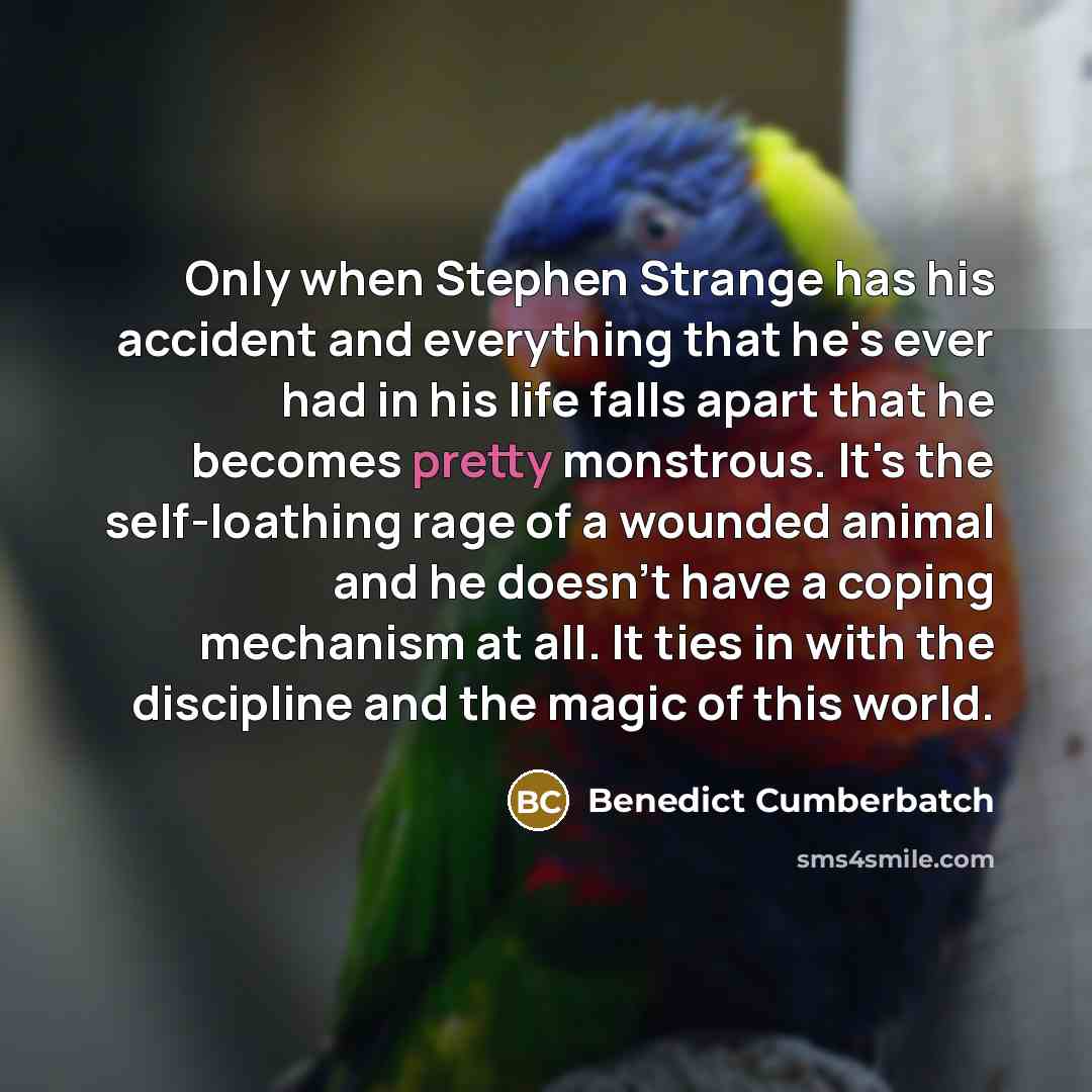 “Only when Stephen Strange has his accident and everything that he's ever had in his life falls apart that he becomes pretty monstrous. It's the self-loathing rage of a wounded animal and he doesn't have a coping mechanism at all. It ties in with the discipline and the magic of this world.” quote by Benedict Cumberbatch