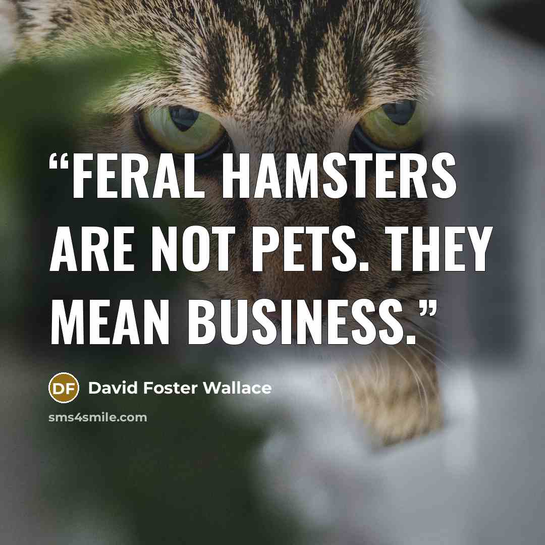 “Feral hamsters are not pets. They mean business.” quote by David Foster Wallace