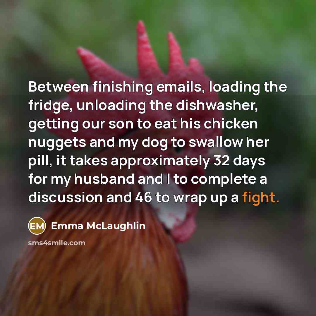 “Between finishing emails, loading the fridge, unloading the dishwasher, getting our son to eat his chicken nuggets and my dog to swallow her pill, it takes approximately 32 days for my husband and I to complete a discussion and 46 to wrap up a fight.” quote by Emma McLaughlin