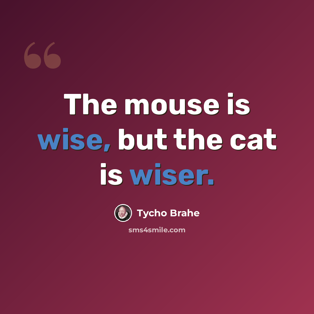 “The mouse is wise, but the cat is wiser.” quote by Tycho Brahe