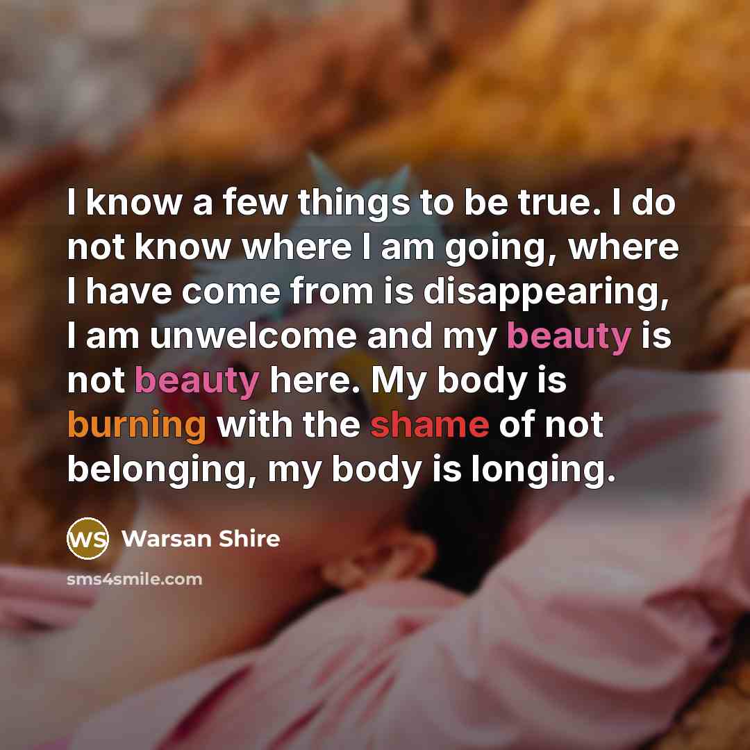 “I know a few things to be true. I do not know where I am going, where I have come from is disappearing, I am unwelcome and my beauty is not beauty here. My body is burning with the shame of not belonging, my body is longing.” quote by Warsan Shire