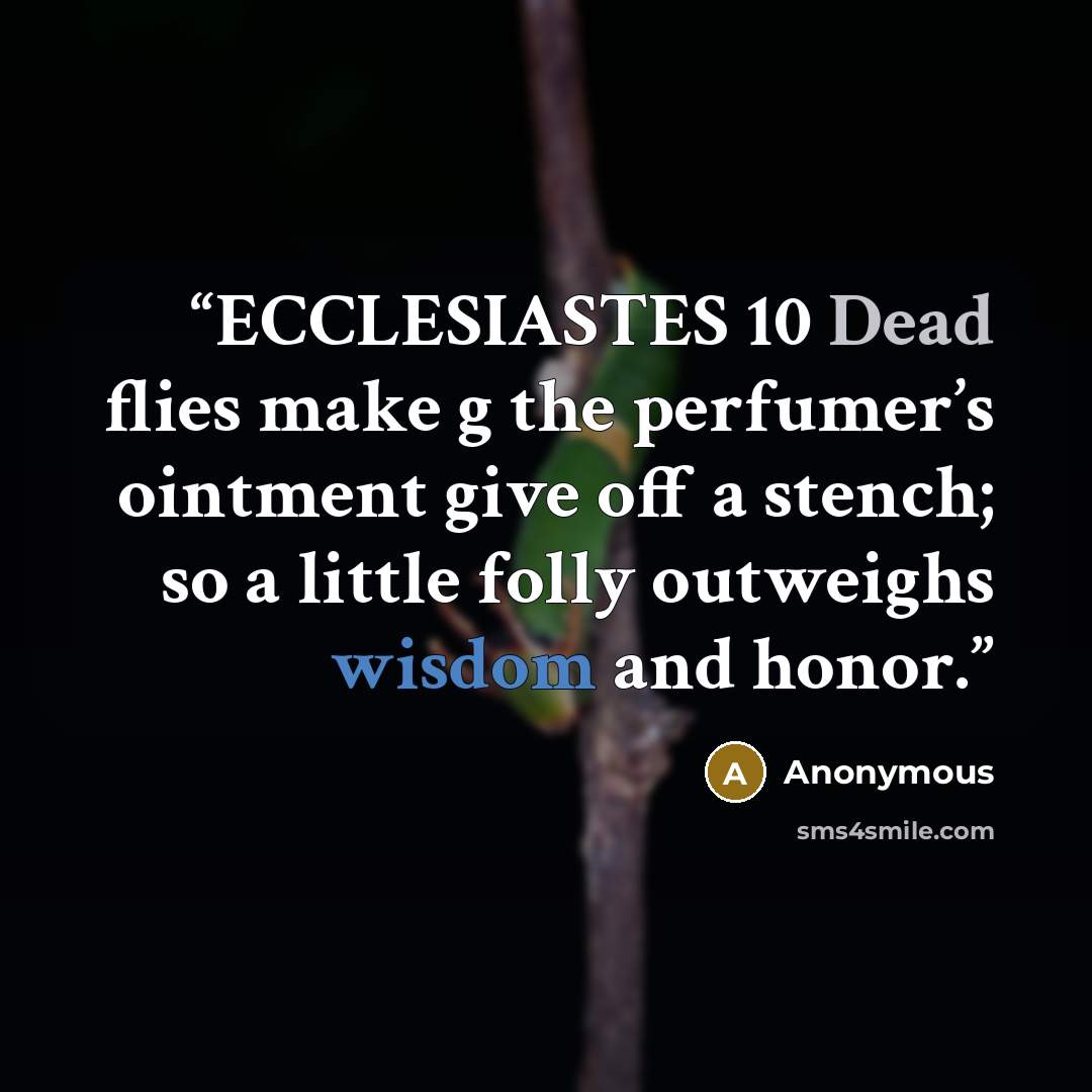 “ECCLESIASTES 10 Dead flies make g the perfumer’s ointment give off a stench; so a little folly outweighs wisdom and honor.” quote by Anonymous