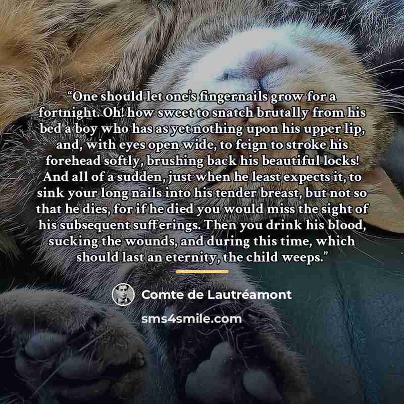 “One should let one’s fingernails grow for a fortnight. Oh! how sweet to snatch brutally from his bed a boy who has as yet nothing upon his upper lip, and, with eyes open wide, to feign to stroke his forehead softly, brushing back his beautiful locks! And all of a sudden, just when he least expects…” quote by Comte de Lautréamont