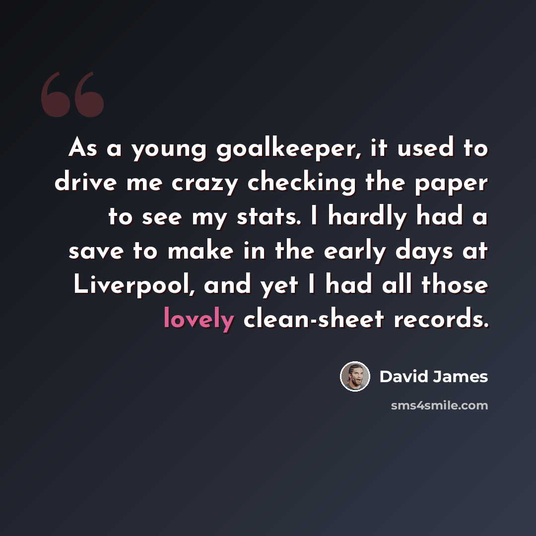 “As a young goalkeeper, it used to drive me crazy checking the paper to see my stats. I hardly had a save to make in the early days at Liverpool, and yet I had all those lovely clean-sheet records.” quote by David James