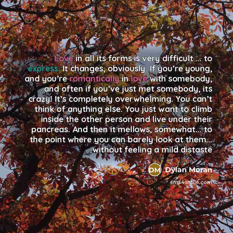 “Love in all its forms is very difficult ... to express. It changes, obviously. If you’re young, and you’re romantically in love with somebody, and often if you’ve just met somebody, its crazy! It’s completely overwhelming. You can’t think of anything else. You just want to climb inside the other…” quote by Dylan Moran