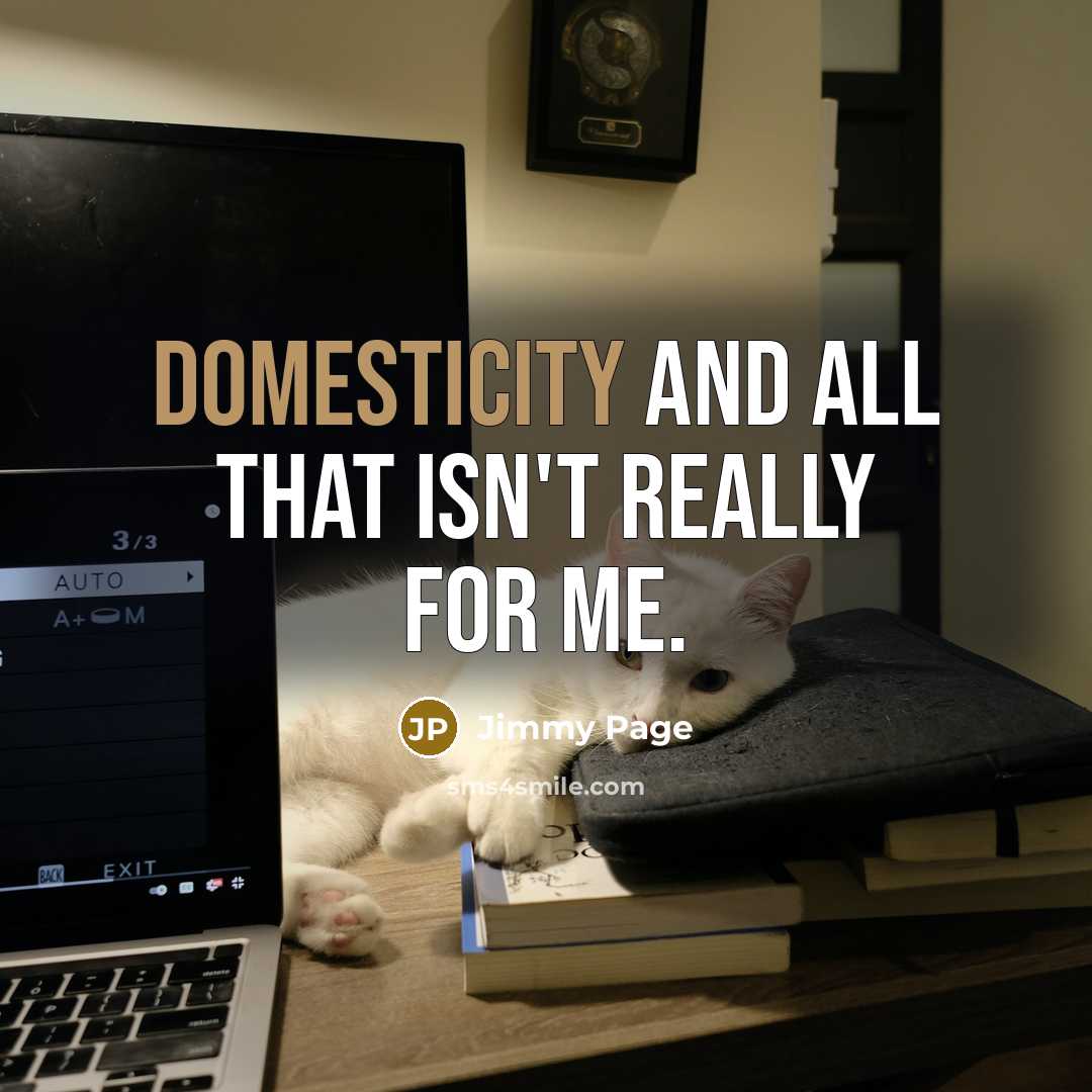 “Domesticity and all that isn't really for me.” quote by Jimmy Page