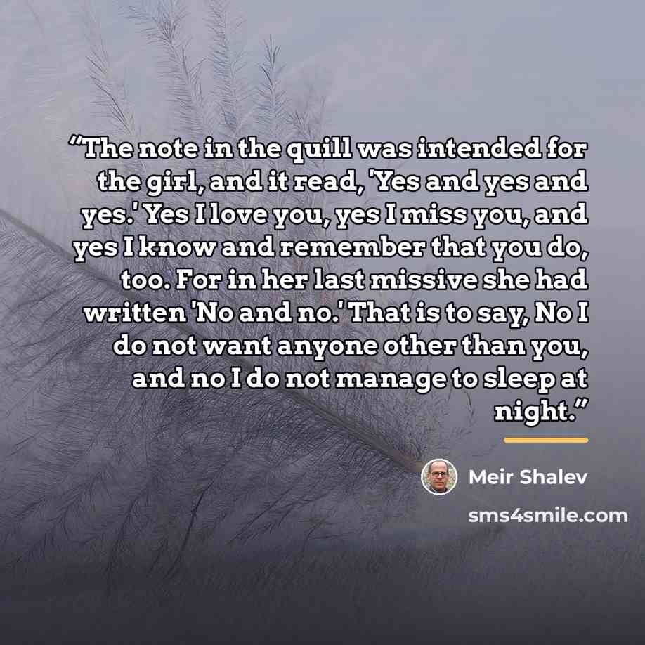 “The note in the quill was intended for the girl, and it read, 'Yes and yes and yes.' Yes I love you, yes I miss you, and yes I know and remember that you do, too. For in her last missive she had written 'No and no.' That is to say, No I do not want anyone other than you, and no I do not manage to…” quote by Meir Shalev
