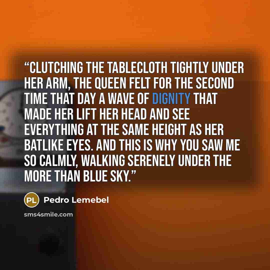 “Clutching the tablecloth tightly under her arm, the Queen felt for the second time that day a wave of dignity that made her lift her head and see everything at the same height as her batlike eyes. And this is why You saw me so calmly, Walking serenely Under the more than blue sky.” quote by Pedro Lemebel