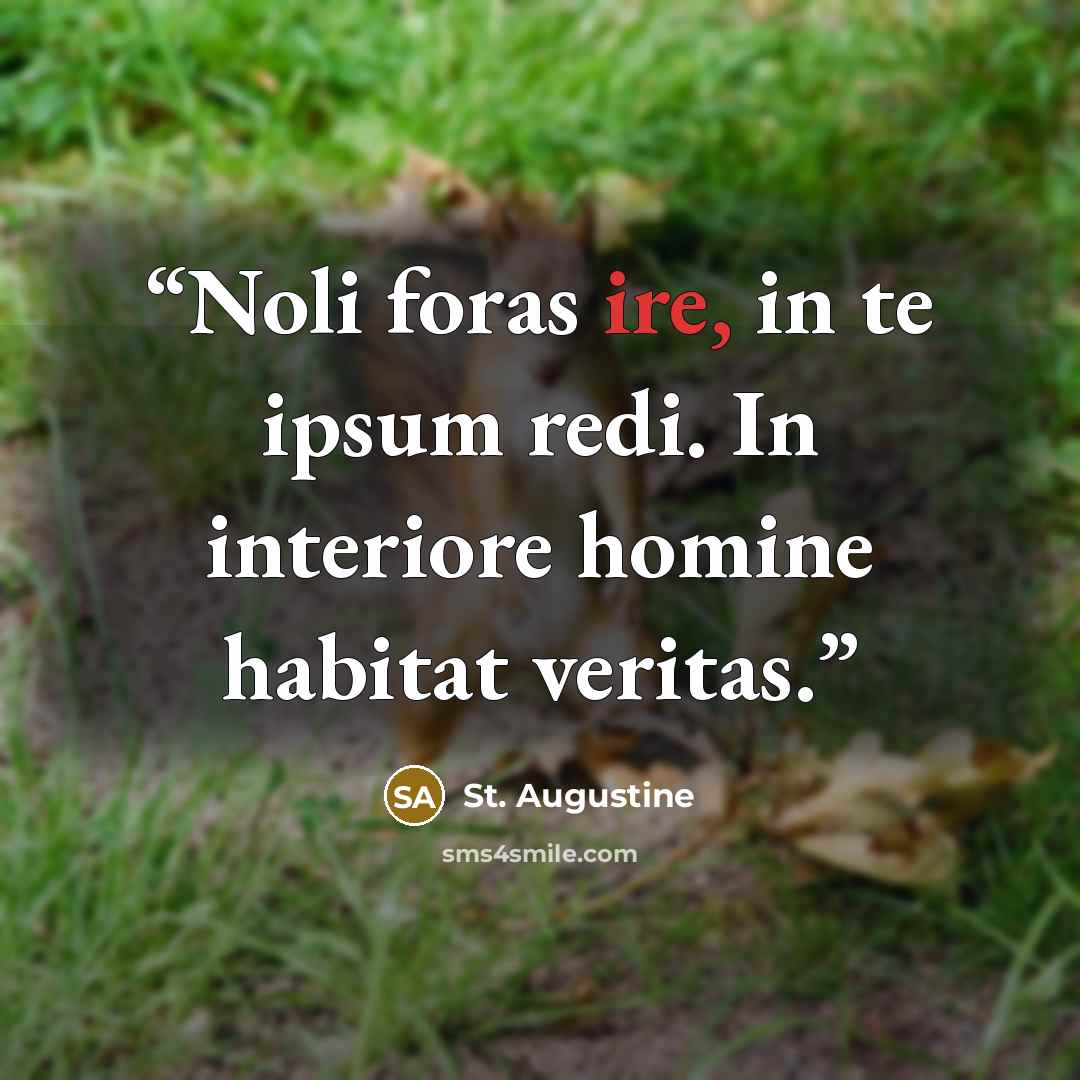 “Noli foras ire, in te ipsum redi. In interiore homine habitat veritas.” quote by St. Augustine