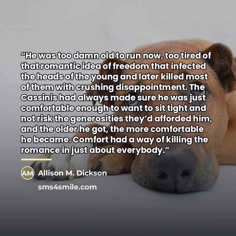 “He was too damn old to run now, too tired of that romantic idea of freedom that infected the heads of the young and later killed most of them with crushing disappointment. The Cassinis had always made sure he was just comfortable enough to want to sit tight and not risk the generosities they’d…” quote by Allison M. Dickson