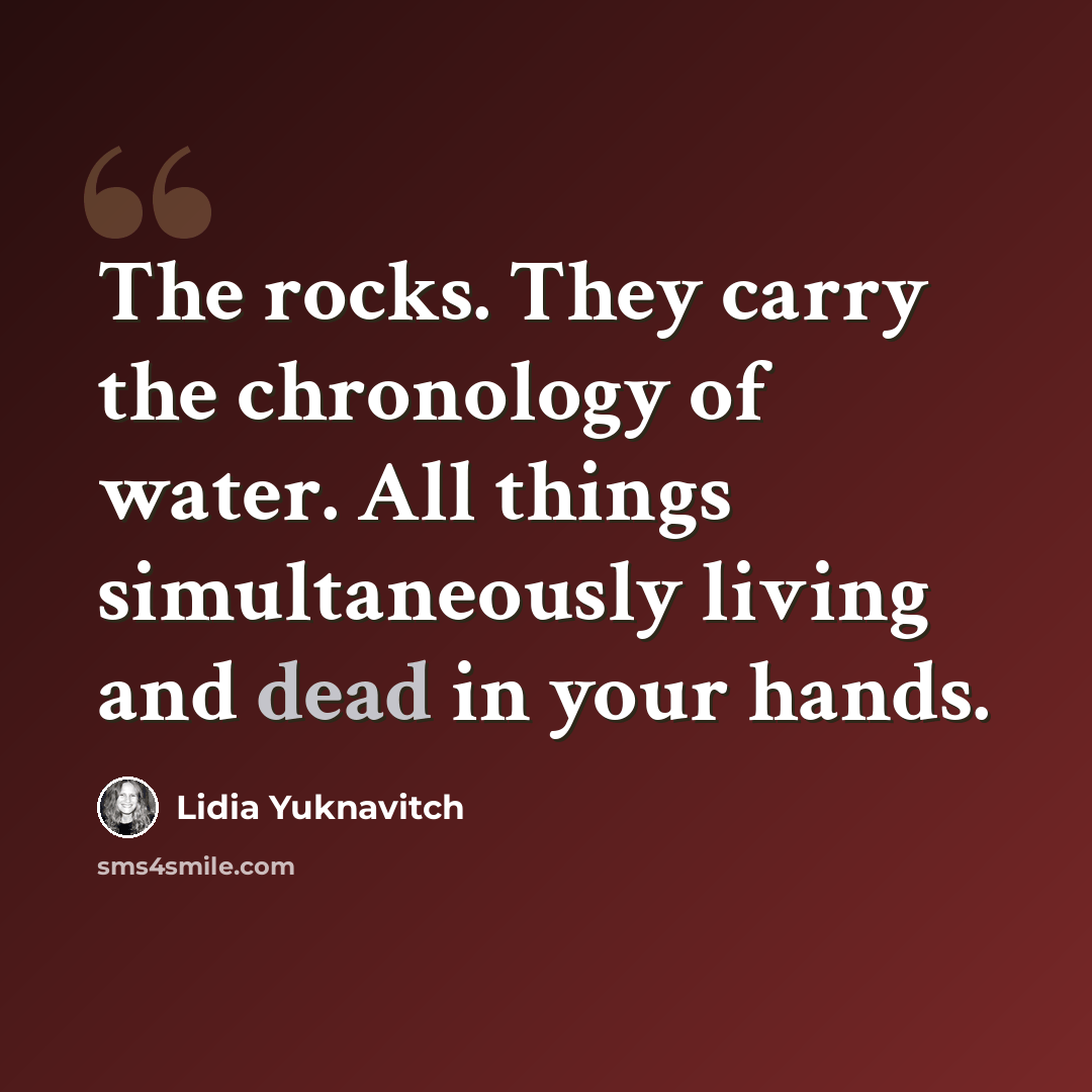 “The rocks. They carry the chronology of water. All things simultaneously living and dead in your hands.” quote by Lidia Yuknavitch