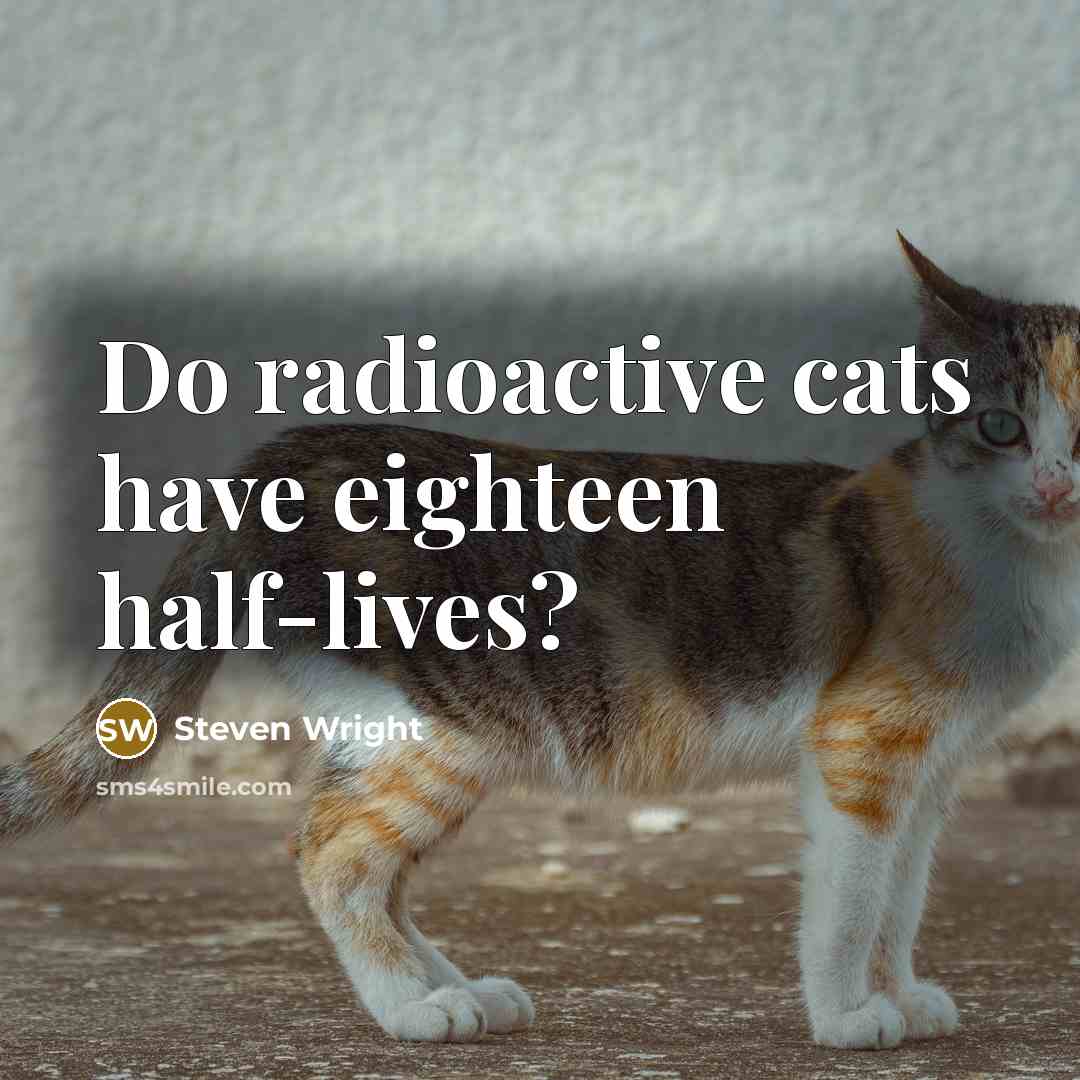 “Do radioactive cats have eighteen half-lives?” quote by Steven Wright