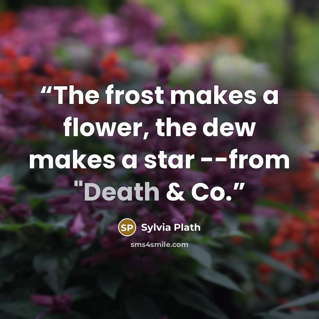 “The frost makes a flower, the dew makes a star --from "Death & Co.” quote by Sylvia Plath