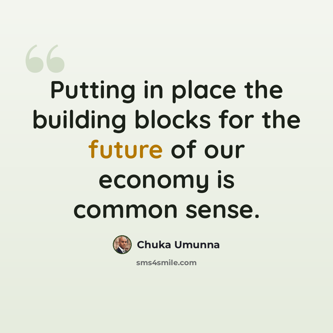 “Putting in place the building blocks for the future of our economy is common sense.” quote by Chuka Umunna