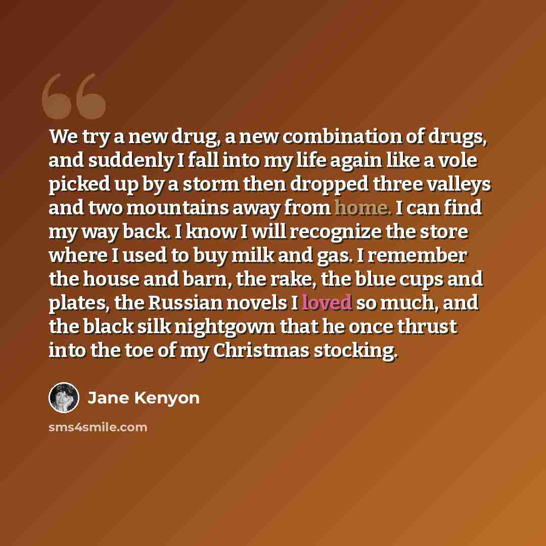 “We try a new drug, a new combination of drugs, and suddenly I fall into my life again like a vole picked up by a storm then dropped three valleys and two mountains away from home. I can find my way back. I know I will recognize the store where I used to buy milk and gas. I remember the house and…” quote by Jane Kenyon