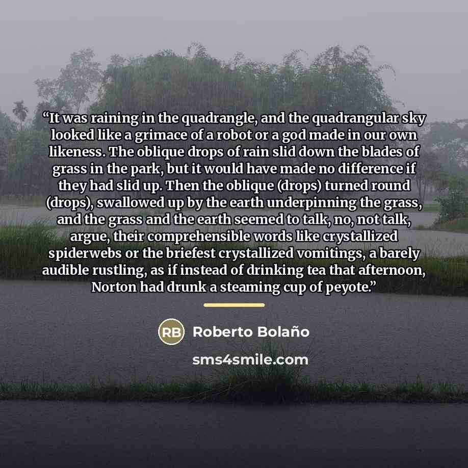“It was raining in the quadrangle, and the quadrangular sky looked like a grimace of a robot or a god made in our own likeness. The oblique drops of rain slid down the blades of grass in the park, but it would have made no difference if they had slid up. Then the oblique (drops) turned round…” quote by Roberto Bolaño