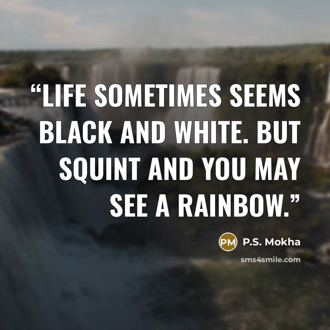 “Life sometimes seems black and white. But squint and you may see a rainbow.” quote by P.S. Mokha