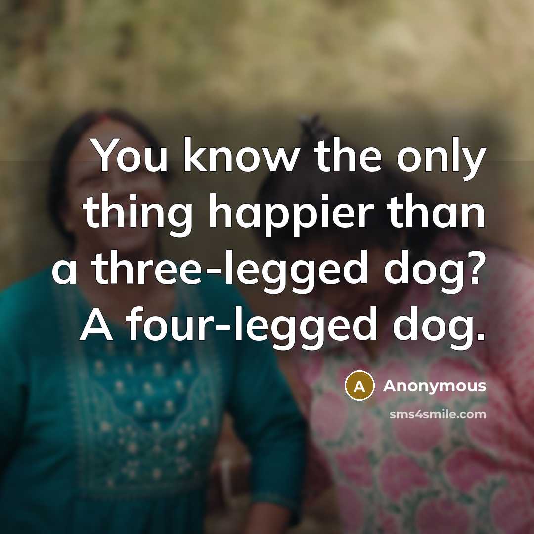 “You know the only thing happier than a three-legged dog? A four-legged dog.” quote by Anonymous